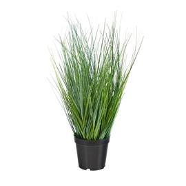 Nearly Natural 21in. Onion Grass Artificial Plant