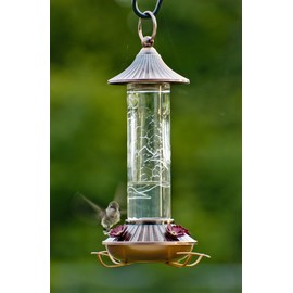 Audubon NA35240 Etched Glass Hummingbird Feeder, 14 oz, White