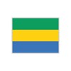 Womaha 30 Sheets Gabon Flag Temporary Tattoos for Kids Adults