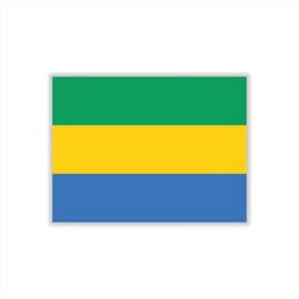 Womaha 30 Sheets Gabon Flag Temporary Tattoos for Kids Adults Fans Fake Face Tattoo Stickers