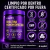 Creatina Monohidratada Suplint 500 Polvo Ultrafino Fuerza Resistencia