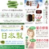 [Henna] kano子 ha-buhena [Light Brown] [Color] for [Hair Care Plant