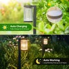 ELECLINK Solar Pathway Lights Outdoor, 6 Pack Upgraded Outdoor Solar