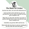 4 x Small 50mm 'Funny Cricket Rules' Permanent Sticker Decals