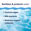 HTH Spa 86134 Clear Chlorinating Sanitizer, Spa & Hot Tub