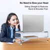 Egchi Clear Acrylic Monitor Stand Riser 2 Tier, 5.5 Inches