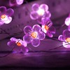 HDNICEZM Flower String Lights，Fairy Pink Cherry Blossom String Lights 21ft