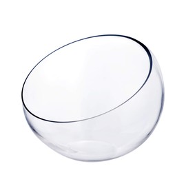 CYS EXCEL Glass Slant Cut Bubble Bowl (H-9" W-11") | Multiple Size Choices Slanted Globe Bowl Terrarium | Round Flower Vase Centerpiece