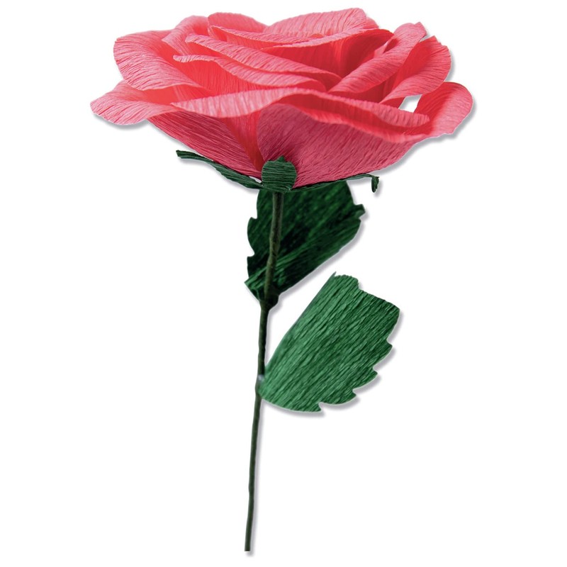 Sizzix Thinlits 5PK Classic Olivia Rose 664923 Die Set, Plastic,