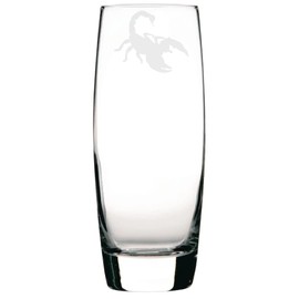 Scorpion Engraved Hi-Ball Glass, Scorpion Gift, Scorpion Glass, Gift for Women, Gift for Men