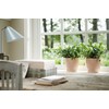 elho Brussels Diamond Round 18 - Flower Pot Indoor -
