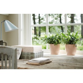 elho Brussels Diamond Round 18 - Flower Pot Indoor - 100% Recycled Plastic - Ø 18.1 x H 16.2 cm - Red/Lovely Red