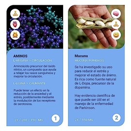 Sapientia + Dopamina Nootrópico 100% natural - L-Fenilalalina- L-Arginina HCL L-Lisina Raíz de Curcuma Extracto de Té Verde Ginseng