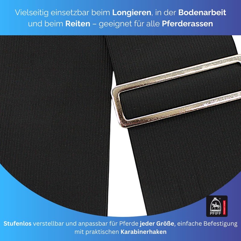 PFIFF 103117 Lungier and Training System Elastic, Training Band for