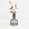 2 Pcs Black Flower Vase with Metal Frame, Clear Glass