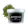 Lush 러쉬 허벌리즘 프레쉬 클렌저 100g [1개입 x 2개] Lush