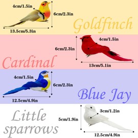 LWINGFLYER 4pcs Artificial Birds Realistic Clip On Bird Ornaments for Crafts Christmas Tree Decorations Courtyard Arts Crafts and Floral Arrangements