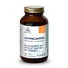 PURICA - Ashwagandha with Sensoril - 120 Vegan Capsules -