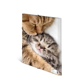 HERMA Collector's Folders A4 Cat Set of 3 Children's Plastic Corner Folder with Animal Motif, Elastic Band, Inner Flaps and Inner Print for Boys and Girls