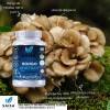 Maitake Orgánico 120 Cápsulas Organic Maitake Supplement, Immune Support, Saisa