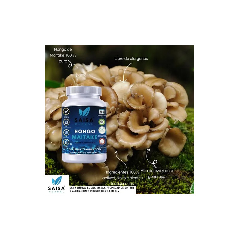 Maitake Orgánico 120 Cápsulas Organic Maitake Supplement, Immune Support, Saisa