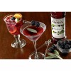 FixtureDisplays Monin Premium Blackberry Flavoring / Fruit Syrup 544SYPAR006A