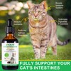 Bivinke Bivinke Constipation Relief for Cat, Cat Laxative Constipation Relief,