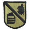 Defense Language Institute OCP Patch - Scorpion W2