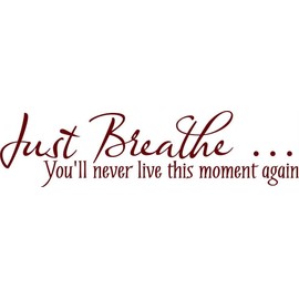 Design With Vinyl Just Breathe You Never Live This Moment Again Artwork Take a Breath Relax Rejoice Joy Happiness Wall Decal for Family - Themed Décor - Size: 9 in x 24 in