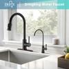 EKRTE Bronze Water Filter Faucet,Commercial Everse Osmosis Faucet for Under