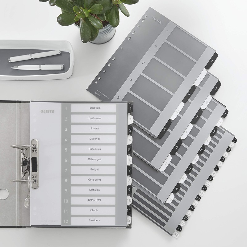 Leitz Index for A4, PC-writable cover sheet and 10 dividers,
