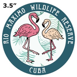 Blue Heron Flamingos Rio Maximo Wildlife Reserve Car Truck Window Bumper Sticker Decal - Turquoise
