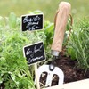La Cordeline CJNBA2 Bag 5 plants Plaques 7 "x 5