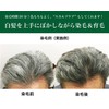 Oz Natural Henna Men's Gray (1.4 oz (40 g) x