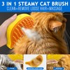 Cat Steam Brush, 3 In 1 Steamy Cat Brush for