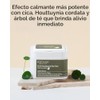 MaryMay Cica Houttuynia Tea Tree Calming Mask - Daily Pull