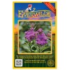 Everwilde Farms - 500 Common Ironweed Native Wildflower Seeds -