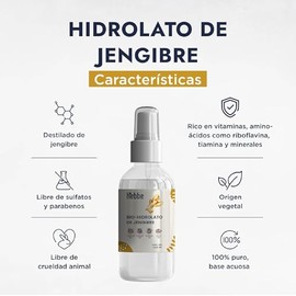 HEBBE - Hidrolato de Jengibre 120 ml | Antiinflamatorio | Antioxidante | Analgésico | Calmante | Tonificante | pH Natural | Ideal para la Piel | Bacte