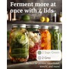 Elementi Mason Jar Fermentation Lids - Set of 4 Easy