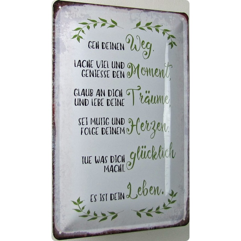 Metal Sign 20 x 30 cm Geh deinen Weg Saying