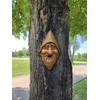 Red Carpet Studios Outdoor Tree Face Birdhouse, 13.5", Harry