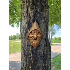 Red Carpet Studios Outdoor Tree Face Birdhouse, 13.5", Harry
