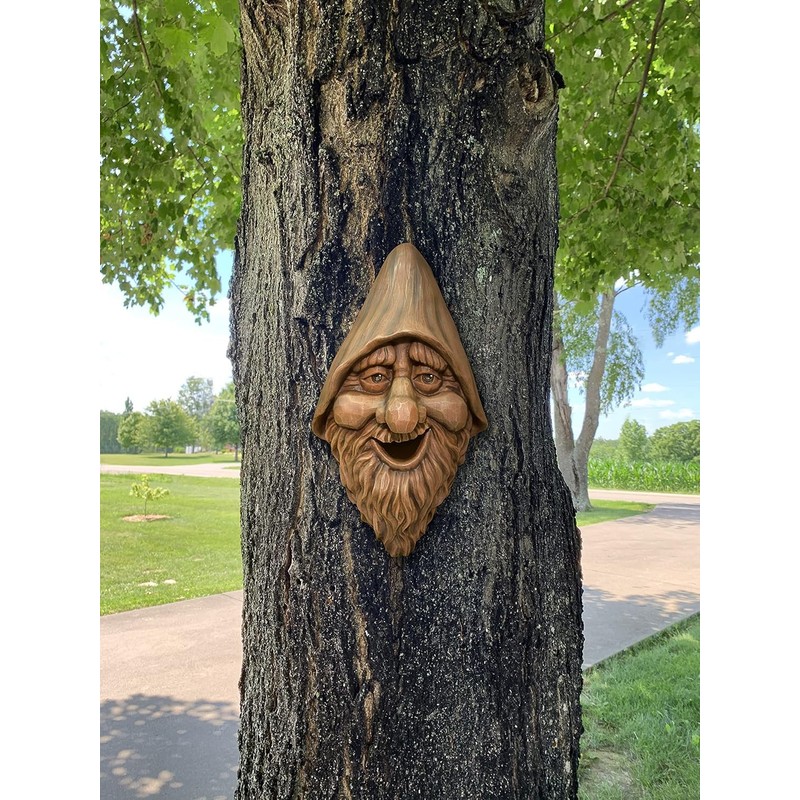 Red Carpet Studios Outdoor Tree Face Birdhouse, 13.5", Harry