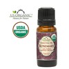 US Organic 100% Pure Rosemary Essential Oil, USDA Certified Organic