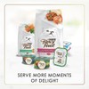 Purina Fancy Feast Gravy Lovers Poultry and Beef Grilled Gourmet