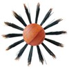 Sanby Industries HC HC-482 Roll Brush, Boar Hair + Pig