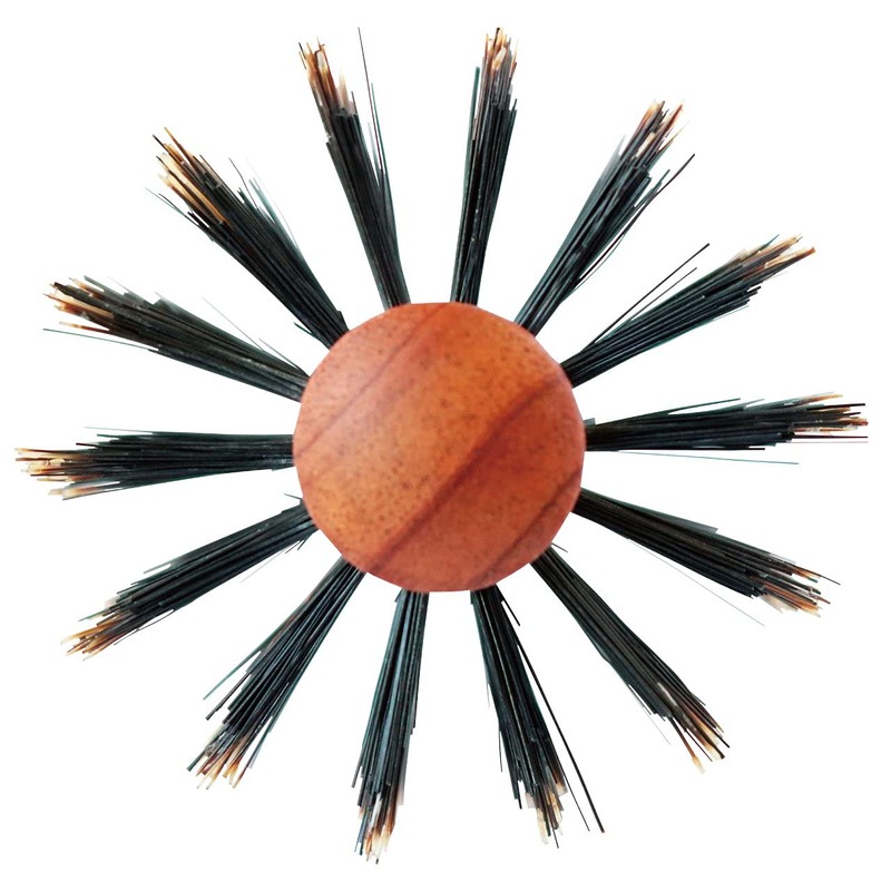 Sanby Industries HC HC-482 Roll Brush, Boar Hair + Pig