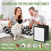Nisreen WK01234QPC Filter Replacement Kit Compatible with Oreck Air Pu-rifier