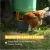 Stromberg's High Capacity Silo Poultry Feeder, 65 lb, Translucent Body,