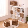 VinneGenzz 2PCS Storage Cubes with Zipper Lid 11 Inch Leopard